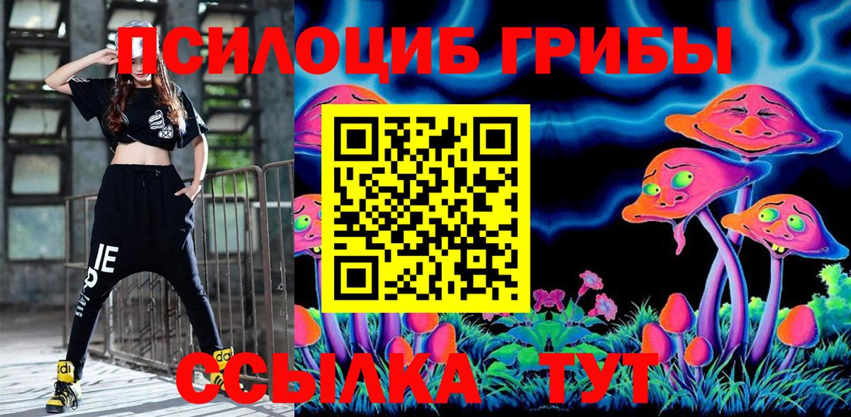 Верхняя Салда  Псилоцибиновые грибы Psilocybe  Вход с VPN  Галлюциногенные грибы мицелий 