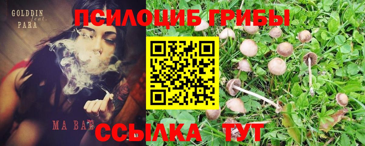 Галлюциногенные грибы прущие грибы Верхняя Салда